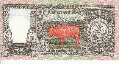 Beschrijving achterzijde: COW